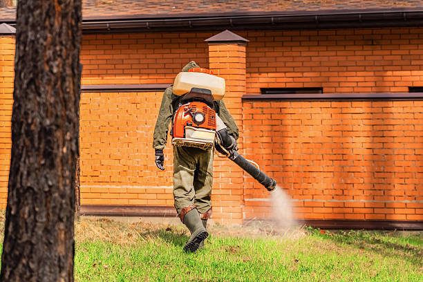 Bed Bug Clearance Verification and Documentation in Oak Grove